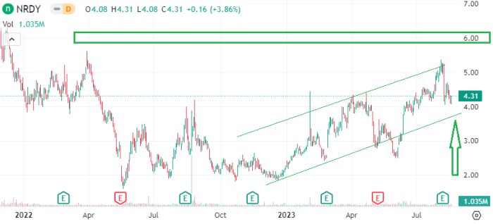 Nrde stock price