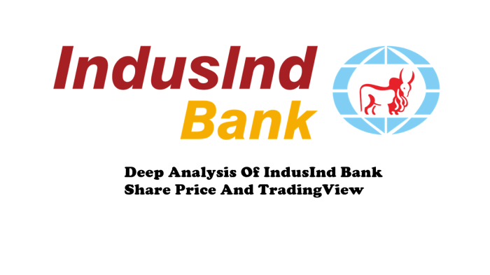 Indu stock price