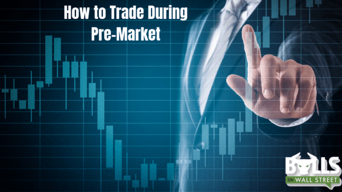 How to check pre market stock price